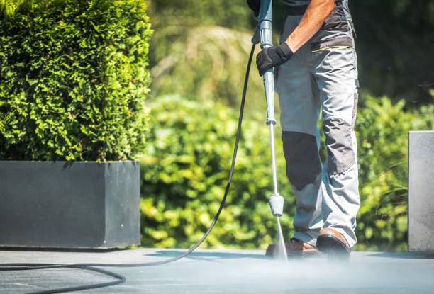 Best Fence Cleaning and Maintenance in Oakwood, GA